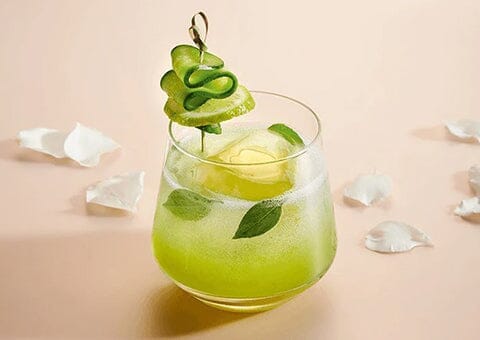 Cucumber Elderflower Gin Fizz