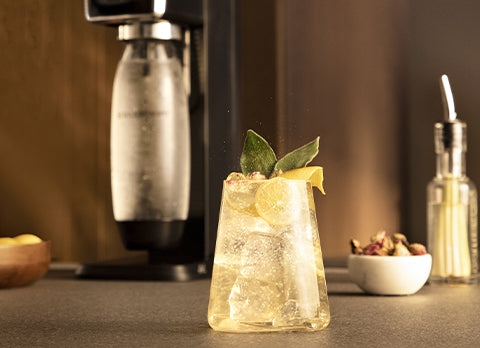 Fizz & Flavor: Mastering Mixology with SodaStream Embark on a mixology adventure