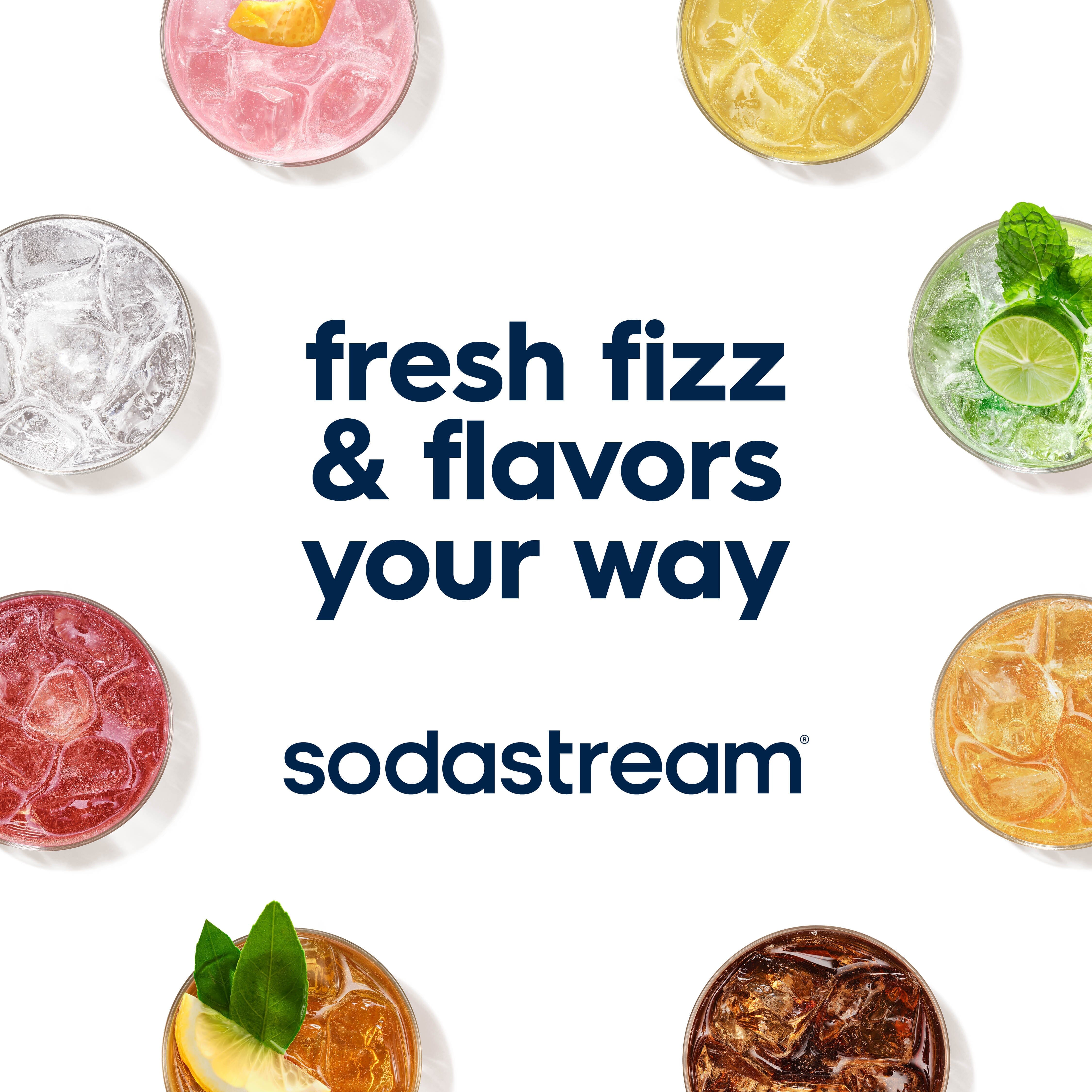 Diet Ginger Ale Flavored Soda Syrup Drink Mix - SodaStream